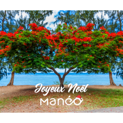 Chamoisines Manéo (Joyeux...